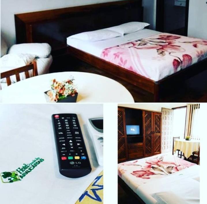 Hotel Pousada Das Araucarias リオ・ネグリーニョ エクステリア 写真
